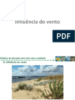 5.6. Influência Do Vento