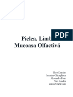 Pielea, Limba, Mucoasa Olfactiva - Proiect