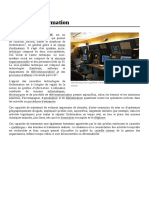 Système D'information PDF