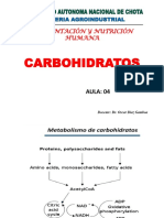 Aula 04 - Carbohidratos