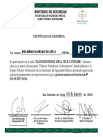 11ricardo Huanca PDF