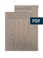 PRINCIPIOSDEERGONOMIAOCUPACIONAL..pdf