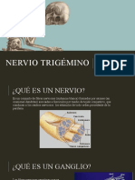 Nervio Trigémino