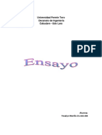 Ensayo (2) by Yoselin Morillo