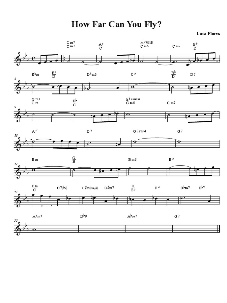 How Far Can You Fly PDF