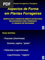 Aula 1- aspectos das formas.pdf