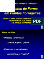Aula 1- aspectos das formas.pdf