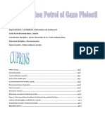 Economia Bunastarii - Tema 1