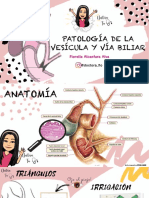 Vesícula y VB Fiorella Alcantara.pdf