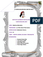 Terapia Herbal PDF