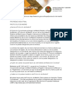 Protocolo de Madrid PDF
