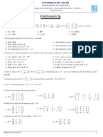 Guía Matrices