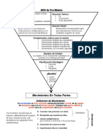 ADN Pirámide de Cru