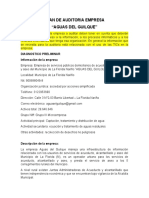 avance plan de auditoria Luis Alberto P