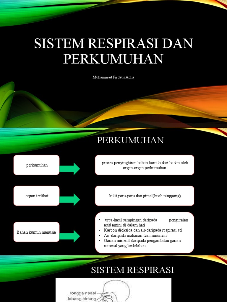 Sistem Respirasi Dan Perkumuhan