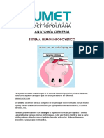 SistemaHemolinfopoyetico_AnatomíaGeneral