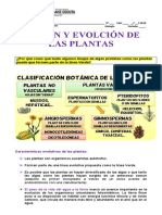 RESPUESTAS DEL ORIGEN Y EVOLUCIÓN DE LAS PLANTAS.docx