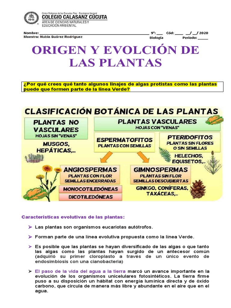 Origen y evolución de las plantas | PDF | Plantas | Algas