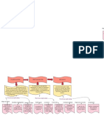 Organizador GráFico PDF