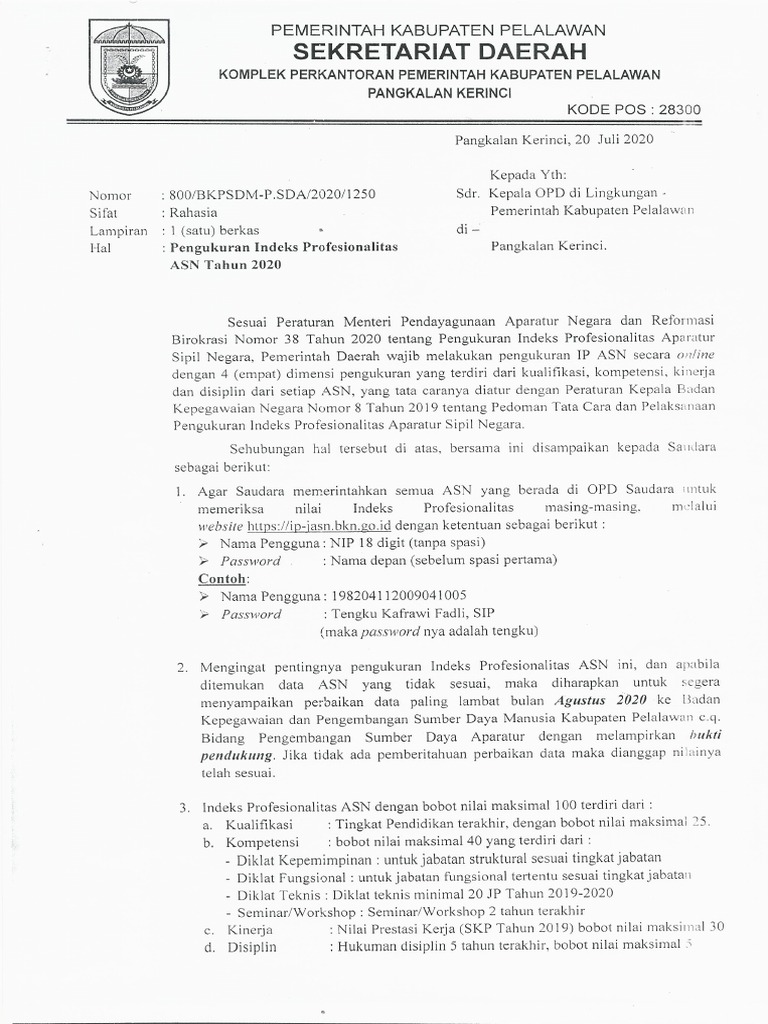 Surat Ip Asn PDF | PDF