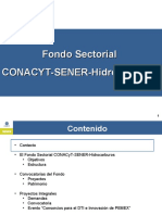 Presentacion Fondo hidrocarburos.ppt