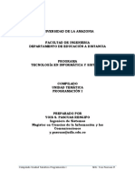 Compilado Programacion I.pdf