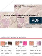 Aula 06_Aspectos biofísicos e bioquímicos da contração muscular_2020.pdf