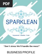 Business Profile Sparklean PDF