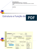 Bioquímica Lipídios