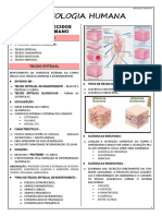 Biologia - Histologia Humana