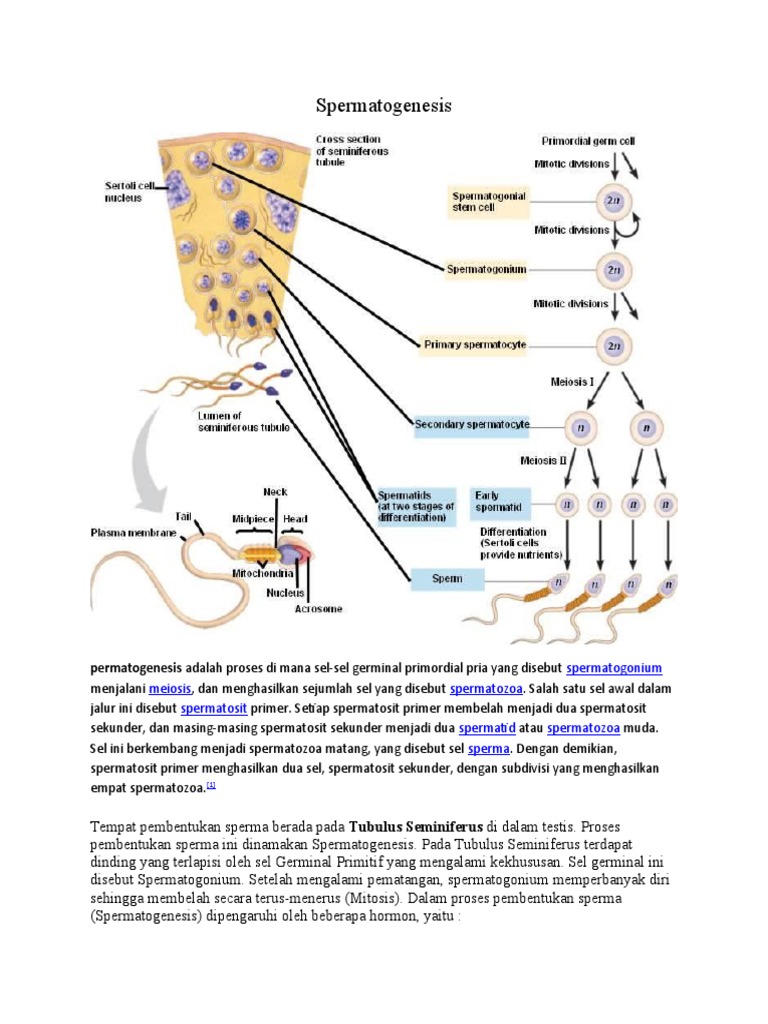 Onamning dosti pornosini tomosha qiling