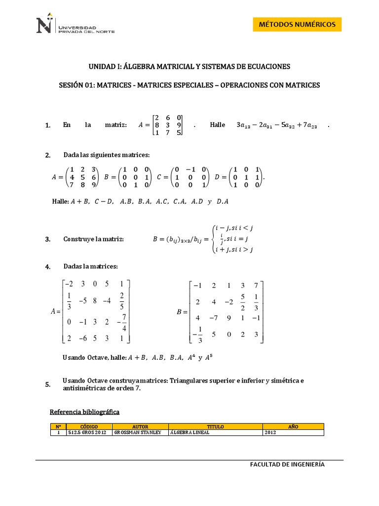 Métodos Numéricos: Álgebra Matricial | PDF | Matriz (Matemáticas) | Álgebra