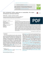 Data Envelopment Analysis Application in Sustainability - The Origins, Development and Future Directions