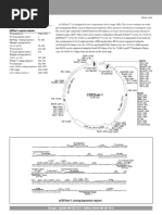 pCDFDuet-1 Map PDF