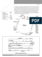 pCDFDuet-1 Map PDF