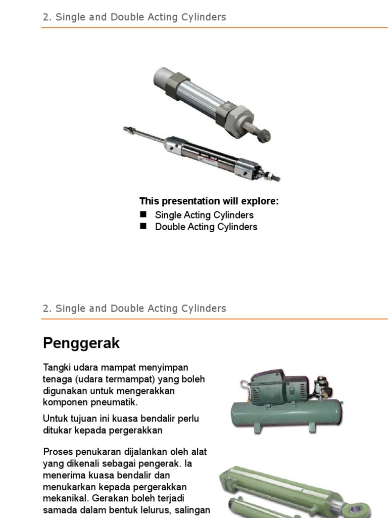 2 Selinder | PDF