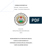 Manajemen Keperawatan - Dinnar Fitria MP - S18014 (Dokumentasi)