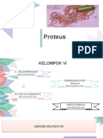 PPT KELOMPOK VI PROTEUS.pptx