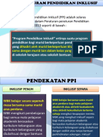Ringkasan Program PPI PDF