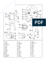 Picture Vocabulary