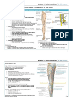 08 Thigh, Leg, Foot PDF