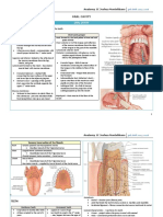 05 Oral Cavity, Abdominal and Inguinal Region PDF