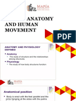 Human Anatomy & Movement Guide