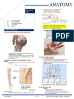 M. 18 Upper Limb Clinical Correlations (Dr-Laygo) (10-26-18)