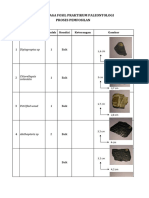 Nama Peraga Fosil Paleontologi