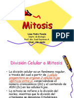 mitosis-1202151922525720-5