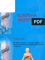 Elsistemadigestivo 140718001925 Phpapp01