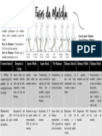 Fases Da Marcha PDF