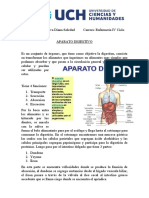 Aparato Digestivo