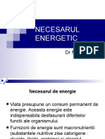 Necesarul Energetic: DR Maria Nitescu